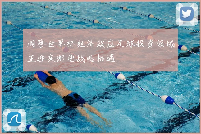洞察世界杯经济效应足球投资领域正迎来哪些战略机遇