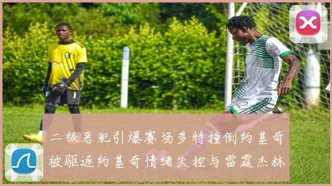 二级恶犯引爆赛场多特撞倒约基奇被驱逐约基奇情绪失控与雷霆杰林威激烈纠缠