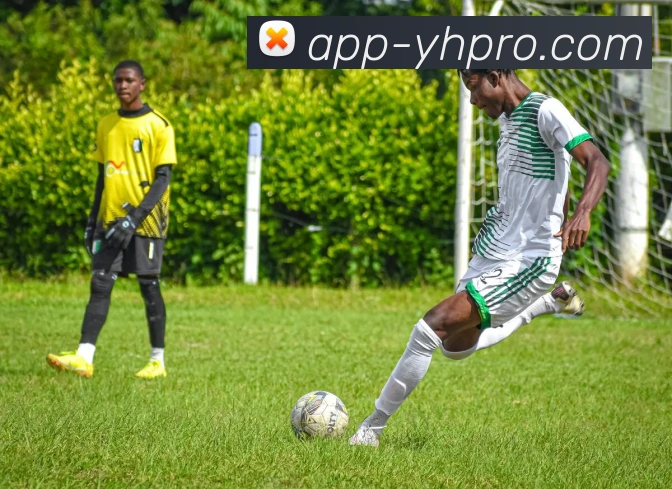 壹号APP下载平台生态图